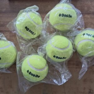 Cricket Tennis Ball (Pack of 6)